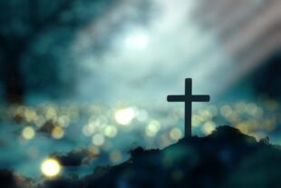Finding Hope and Purpose Again After Disillusionment 1