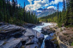 Bible Verses About Hope to Strengthen and Encourage You 1