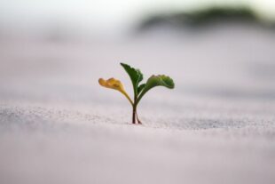How to Challenge the "Not Good Enough" Mindset by Redefining Success 3
