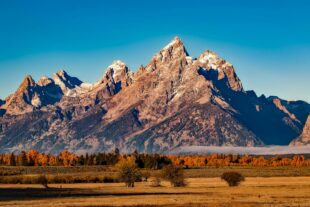 8 Tips for Chronic Anxiety 1