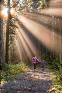 8 Signs of Parental Codependency and How to Heal from It 2