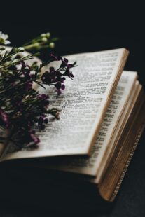Feeling Depressed: Signs, Symptoms, and Strategies to Find Freedom 3