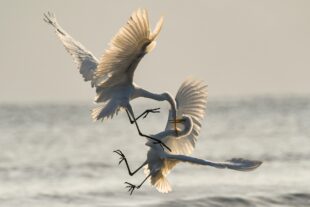 How to Deal with Anger Effectively 3