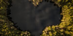 Finding Peace and Joy for Your Soul 2