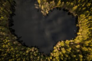 Finding Peace and Joy for Your Soul