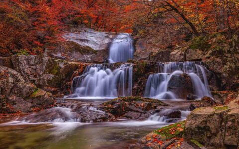 header-image