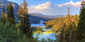 Using a Mindfulness Journal to Transform Anxiety into Peace