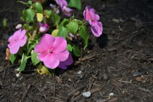 Some Surprising Benefits of Grief