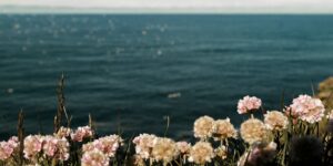 Worry in the Bible: Effective Ways to Deal with Anxiety 1
