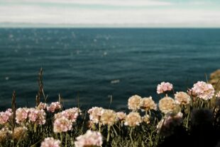 Worry in the Bible: Effective Ways to Deal with Anxiety