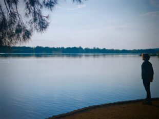 Anxiety in the Bible: How to Move from Worry Toward Rest 1