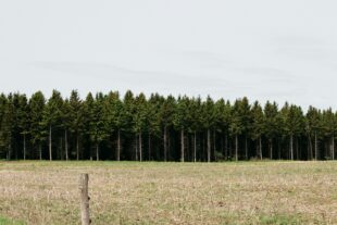 What is Depression? A Christian Counselor in Spokane, WA Explains