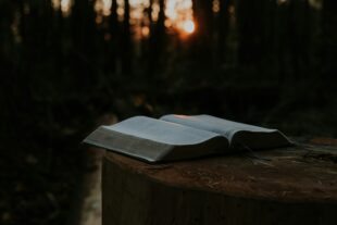 Anxiety and the Sabbath Reset