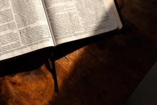 Forgiveness: Bible Verses to Help You Forgive